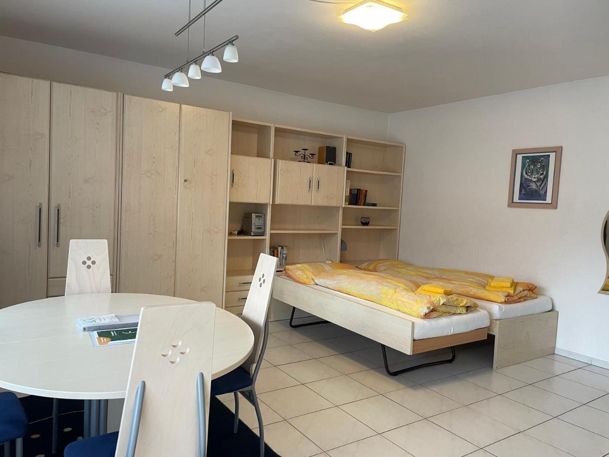 Muralto-Locarno: Miramonti Apt. 4 Экстерьер фото
